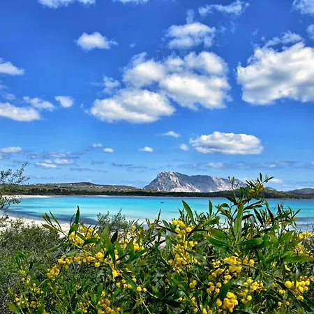Semesterbostad Il Rifugio Di Daniela - Happy San Teodoro (Sardinia)